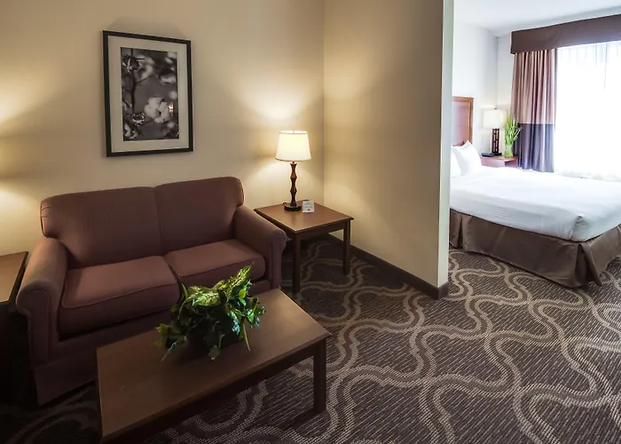 Ashmore Inn And Suites Lubbock
